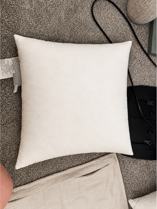 Other - 16x16 RH Baby & Child RHTEEN Waterfowl Feather Filled Throw Pillow Insert